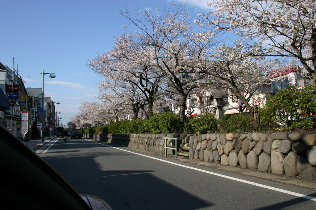IMG_0906.JPG