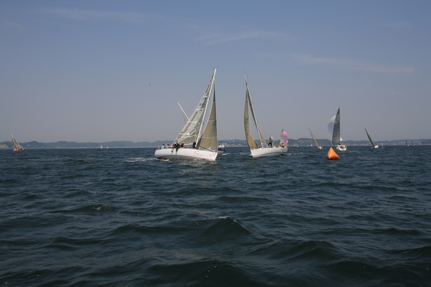 IMG_5959.JPG