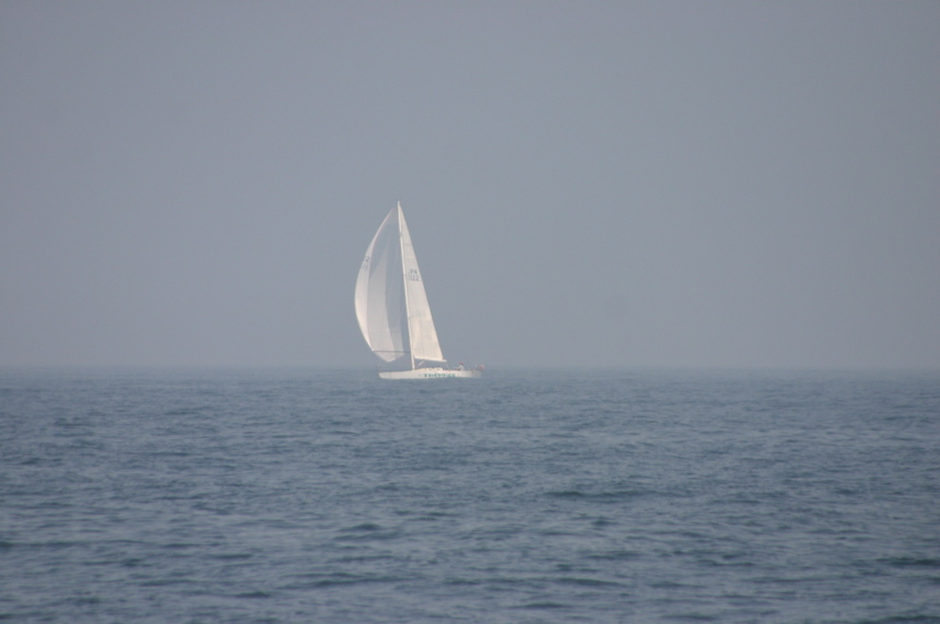 IMG_9912.JPG