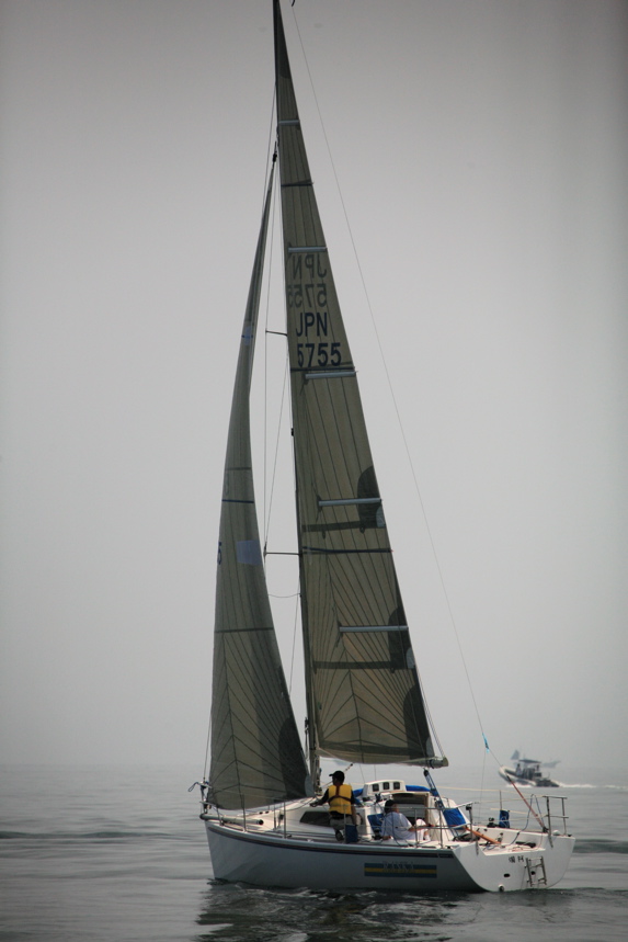 IMG_7910.JPG