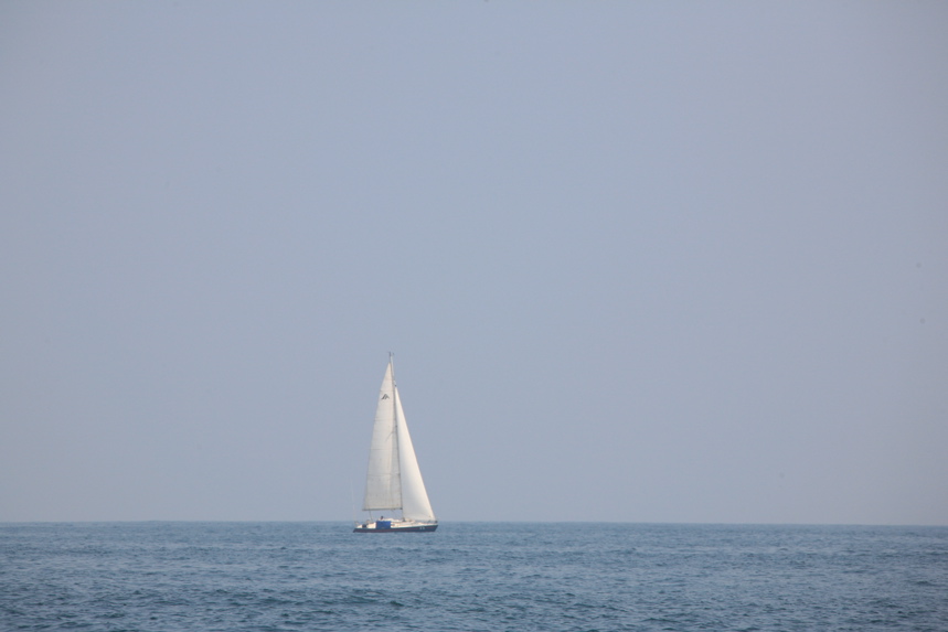 IMG_7982.JPG