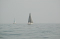 DSC_0796.JPG