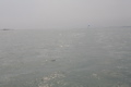 IMG_8502.JPG