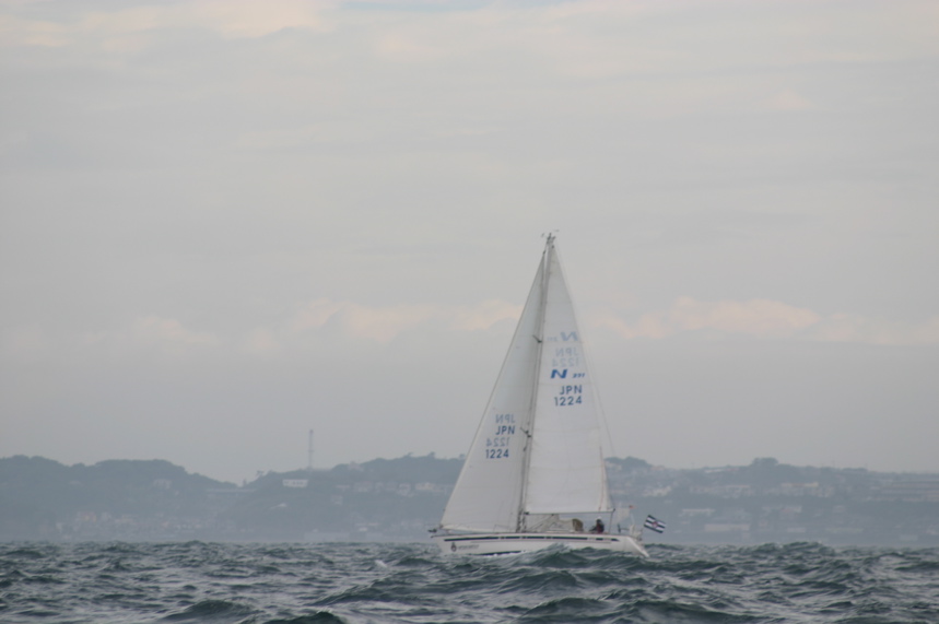 IMG_3414.JPG