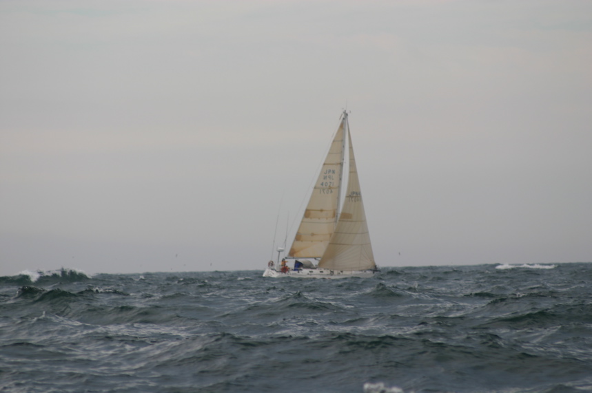 IMG_3419.JPG