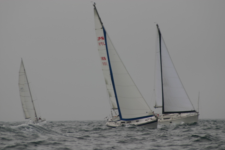 IMG_3391.JPG