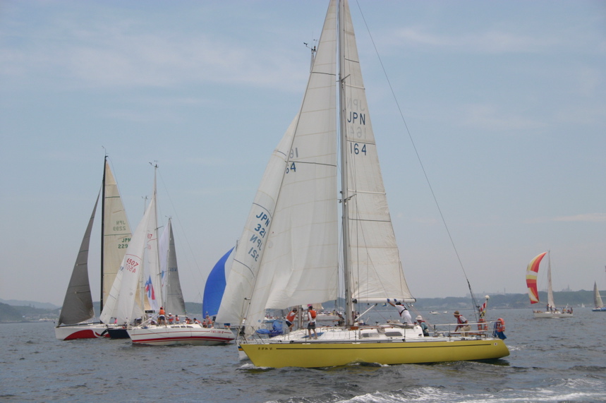 IMG_4445.JPG
