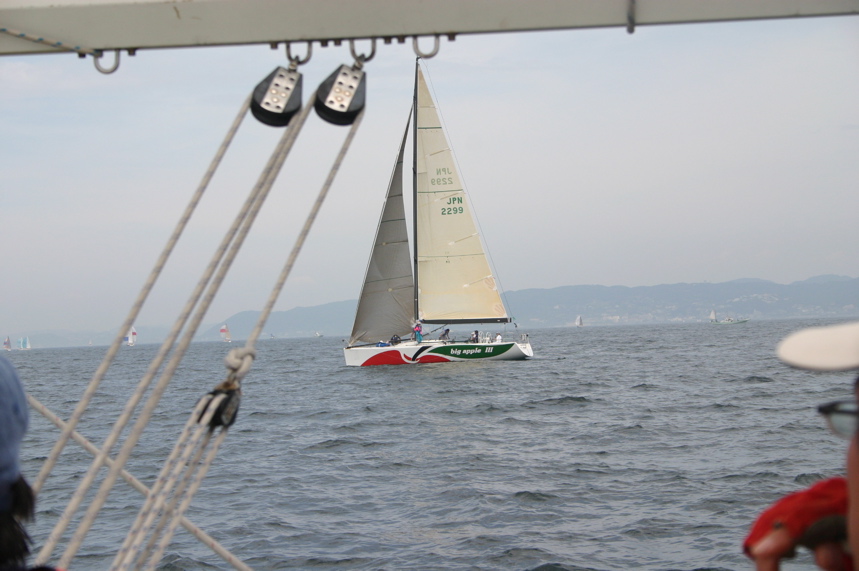 IMG_4451.JPG