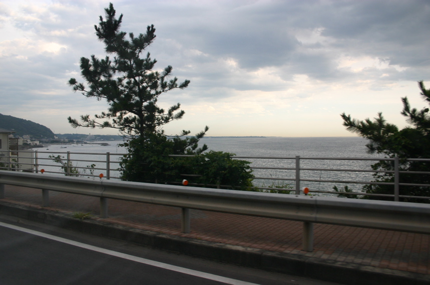 IMG_4619.JPG