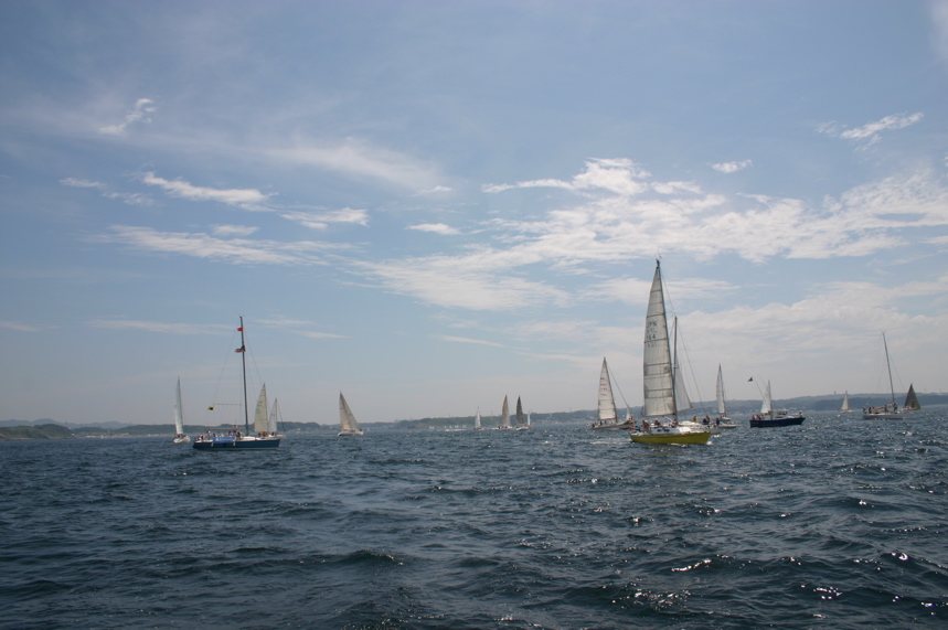 IMG_4415.JPG