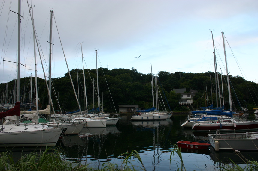 IMG_5302.JPG