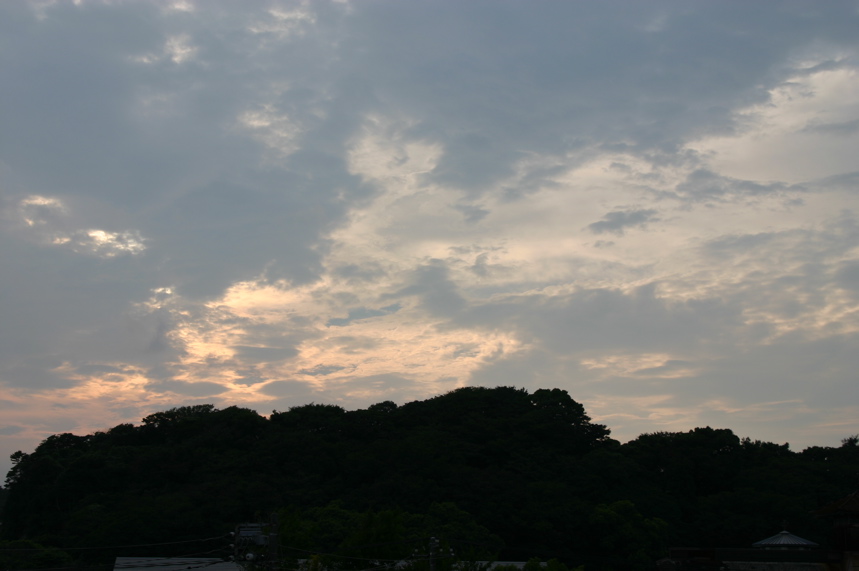 IMG_6512.JPG