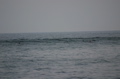 IMG_6555.JPG
