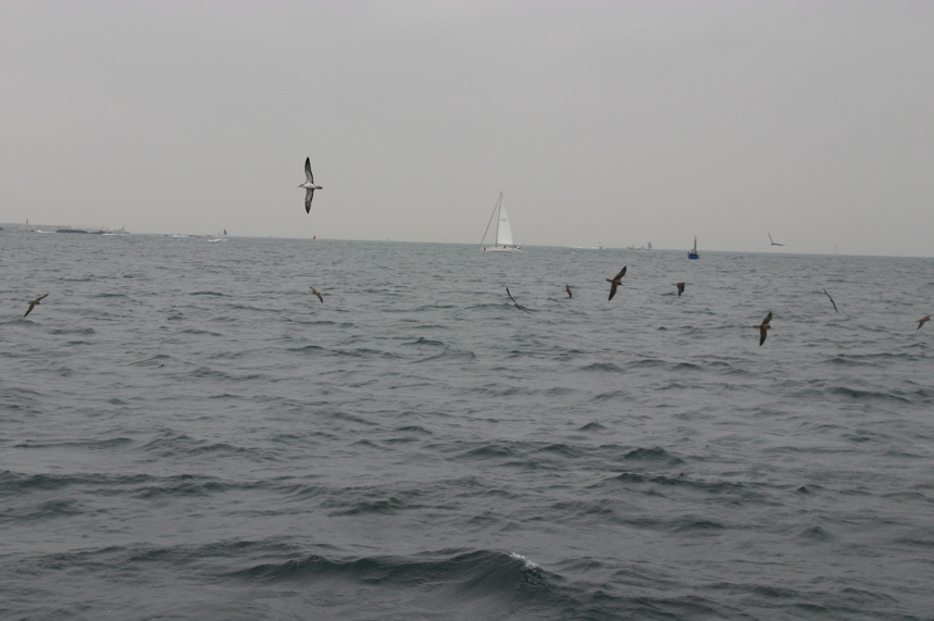 IMG_7053.JPG