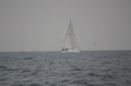 IMG_7050.JPG