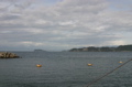 IMG_7266.JPG