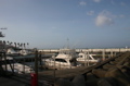 IMG_7327.JPG