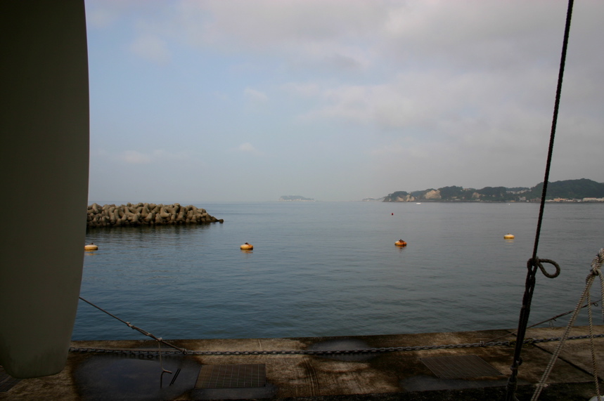 IMG_7379.JPG