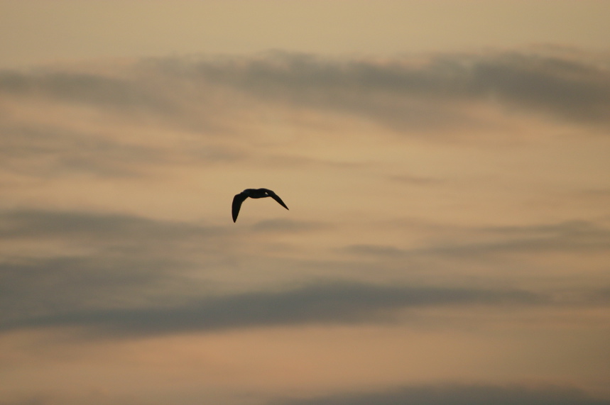 IMG_7491.JPG