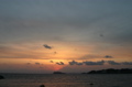 IMG_7717.JPG