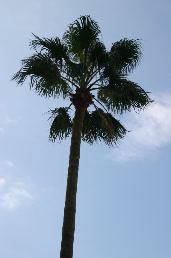 IMG_8088.JPG