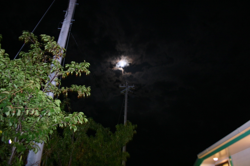 IMG_8691.JPG