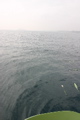 IMG_8507.JPG