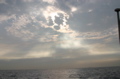 IMG_8561.JPG