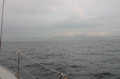 IMG_8570.JPG