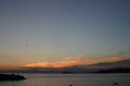 IMG_9309.JPG