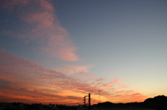 IMG_9670.JPG