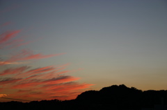 IMG_9676.JPG