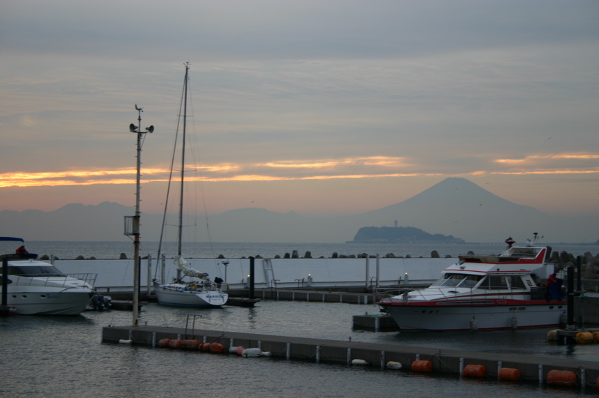 IMG_9866.JPG