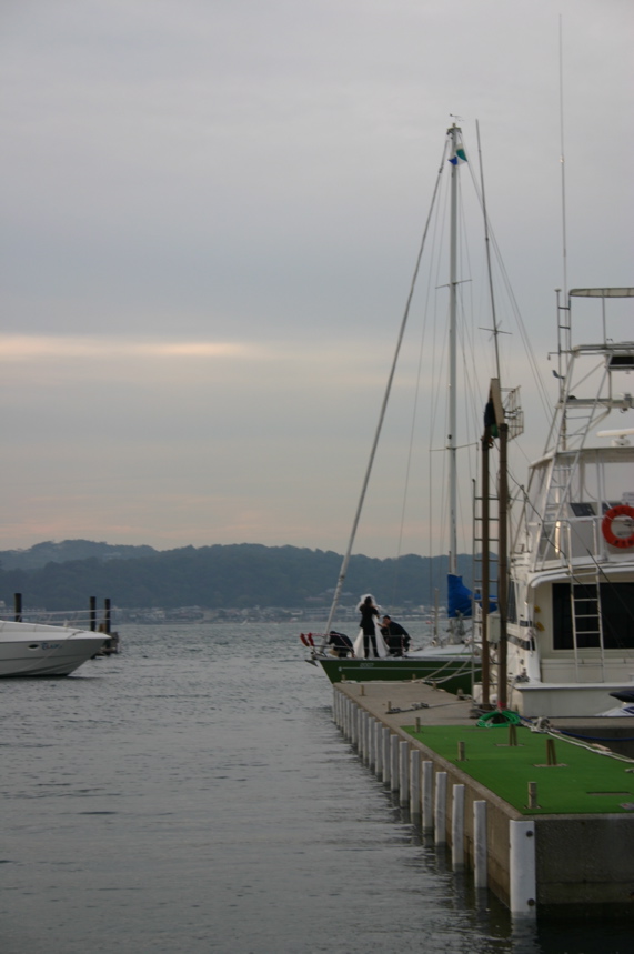 IMG_9737.JPG