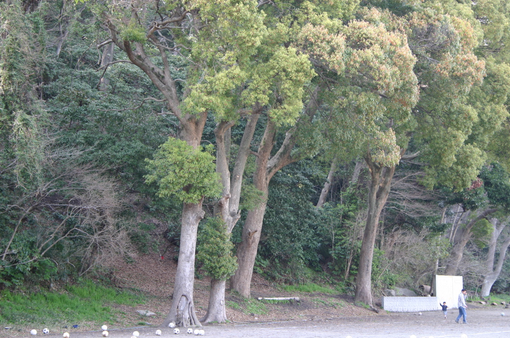 IMG_0405.JPG