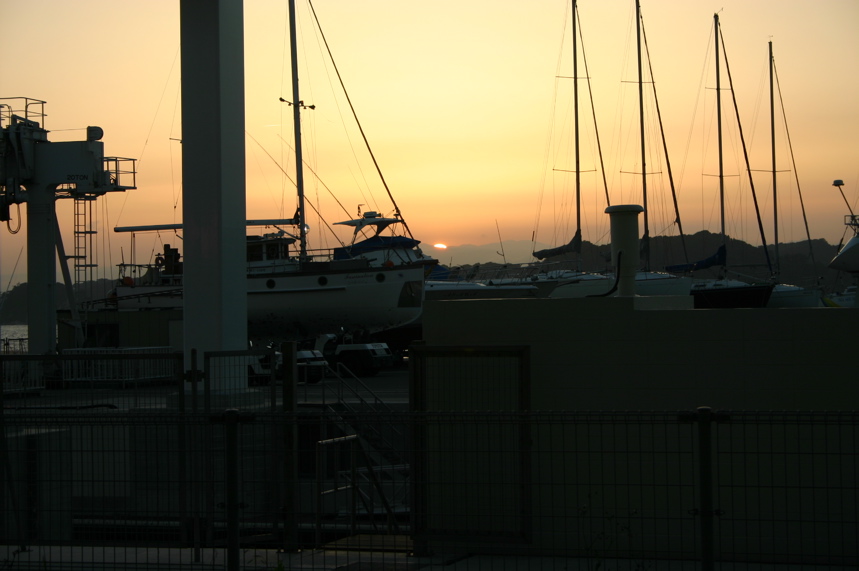 IMG_2823.JPG
