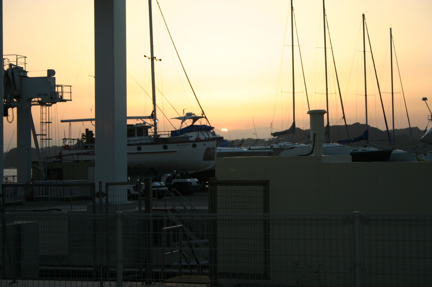 IMG_2824.JPG