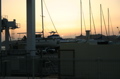 IMG_2824.JPG