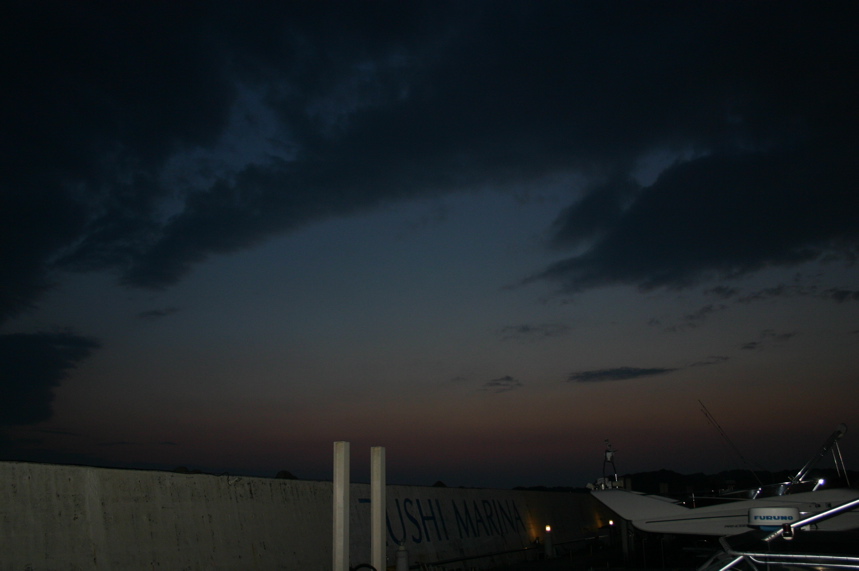 IMG_3125.JPG