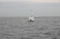 IMG_3086.JPG