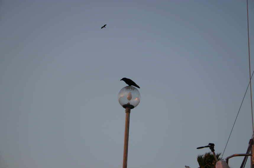 IMG_1011.JPG