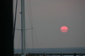 IMG_1491.JPG