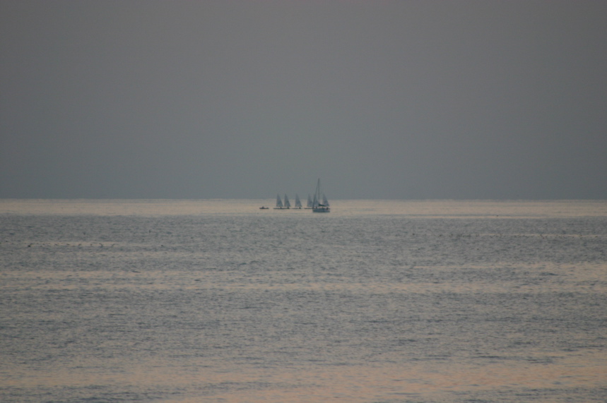 IMG_2368.JPG