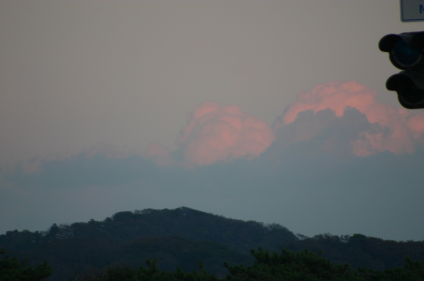 IMG_2371.JPG