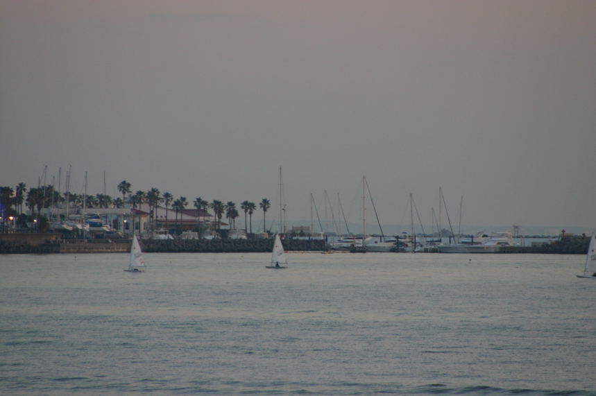 IMG_2353.JPG