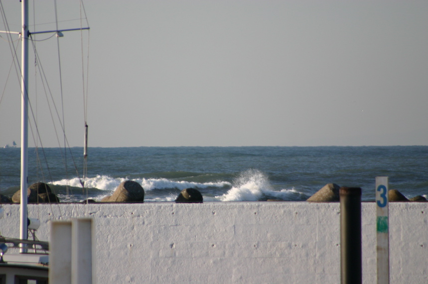IMG_2651.JPG