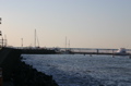 IMG_2666.JPG