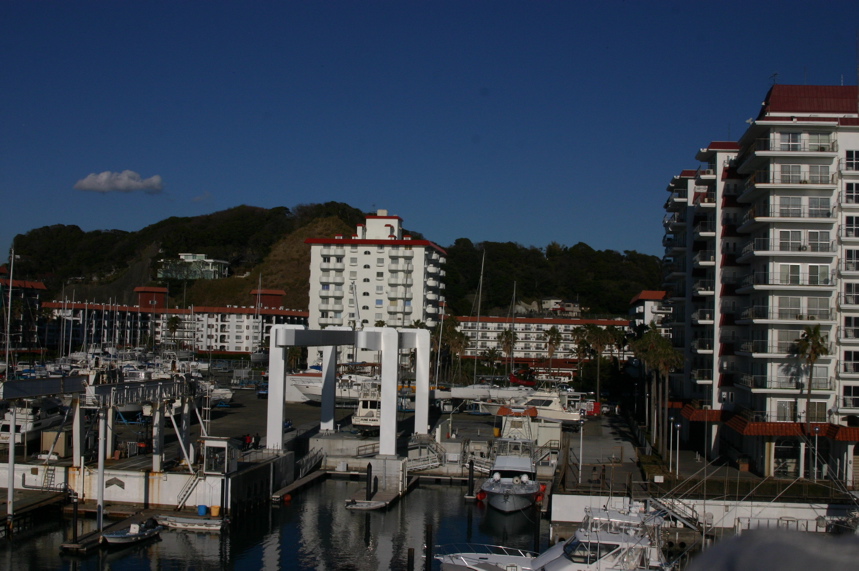 IMG_5241.JPG