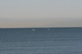 IMG_1783.JPG