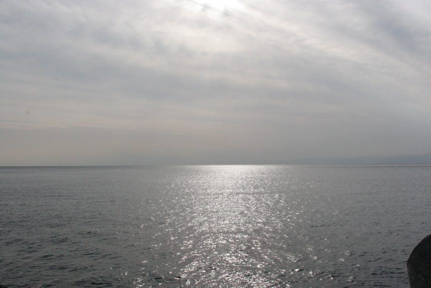 IMG_2994.JPG